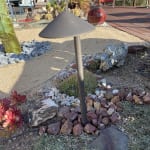 User submitted media