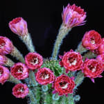 User submitted media 2 of 3