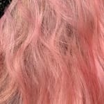 User submitted media