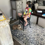 User submitted media