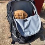lightweight muttmover backpack
