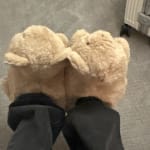 User submitted media