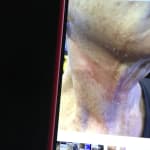 User submitted media
