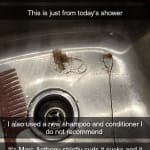 User submitted media