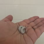 User submitted media 1 of 4