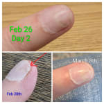 User submitted media