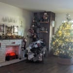 Natural Seagrass Woven Tree Collar