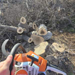 STIHL MS 162 16 in. Light 01 Bar Gas Chainsaw Picco Micro