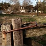 User submitted media 1 of 3