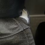 User submitted media