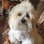 User submitted media 2 of 6