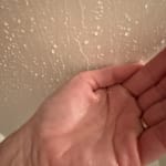 User submitted media 3 of 4