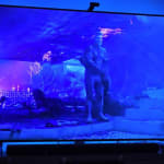 User submitted media