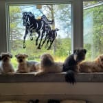 User submitted media