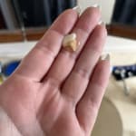 User submitted media 1 of 2