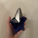 User submitted media