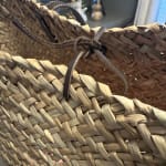 User submitted media 1 of 2