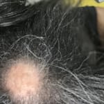 User submitted media 2 of 2