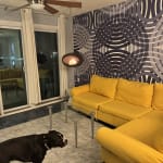 User submitted media