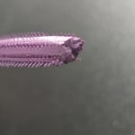 User submitted media 4 of 4