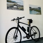 Trek fxs6 top