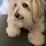 User submitted media 5 of 6