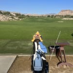 Daphnes Animal Wood Cover Buffalo Headcover