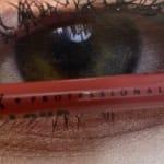 User submitted media 4 of 4