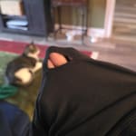 User submitted media