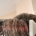 User submitted media 5 of 5