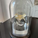 User submitted media