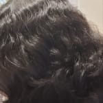 User submitted media 1 of 2