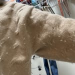 User submitted media