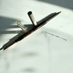 User submitted media