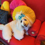 User submitted media 6 of 6