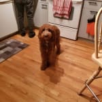 User submitted media