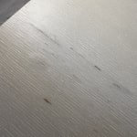 User submitted media 3 of 3