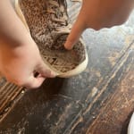 User submitted media