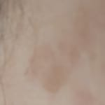 User submitted media 1 of 2