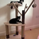 Pets at Home Avery Ascent Cat Scratch Tower Pets At Home