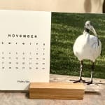 Photo Gallery Landscape Easel Calendar by Yours Truly Shutterfly