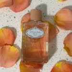 User submitted media 1 of 2