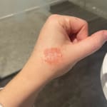 User submitted media 1 of 2