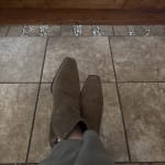 User submitted media