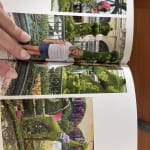 User submitted media