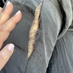 User submitted media