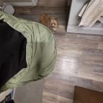 User submitted media 3 of 3