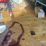 User submitted media