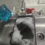 User submitted media