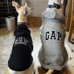 Gap公式オンラインストア | GAPロゴ ペット用パーカー Gap公式オンラインストア | GAPロゴ ペット用パーカー